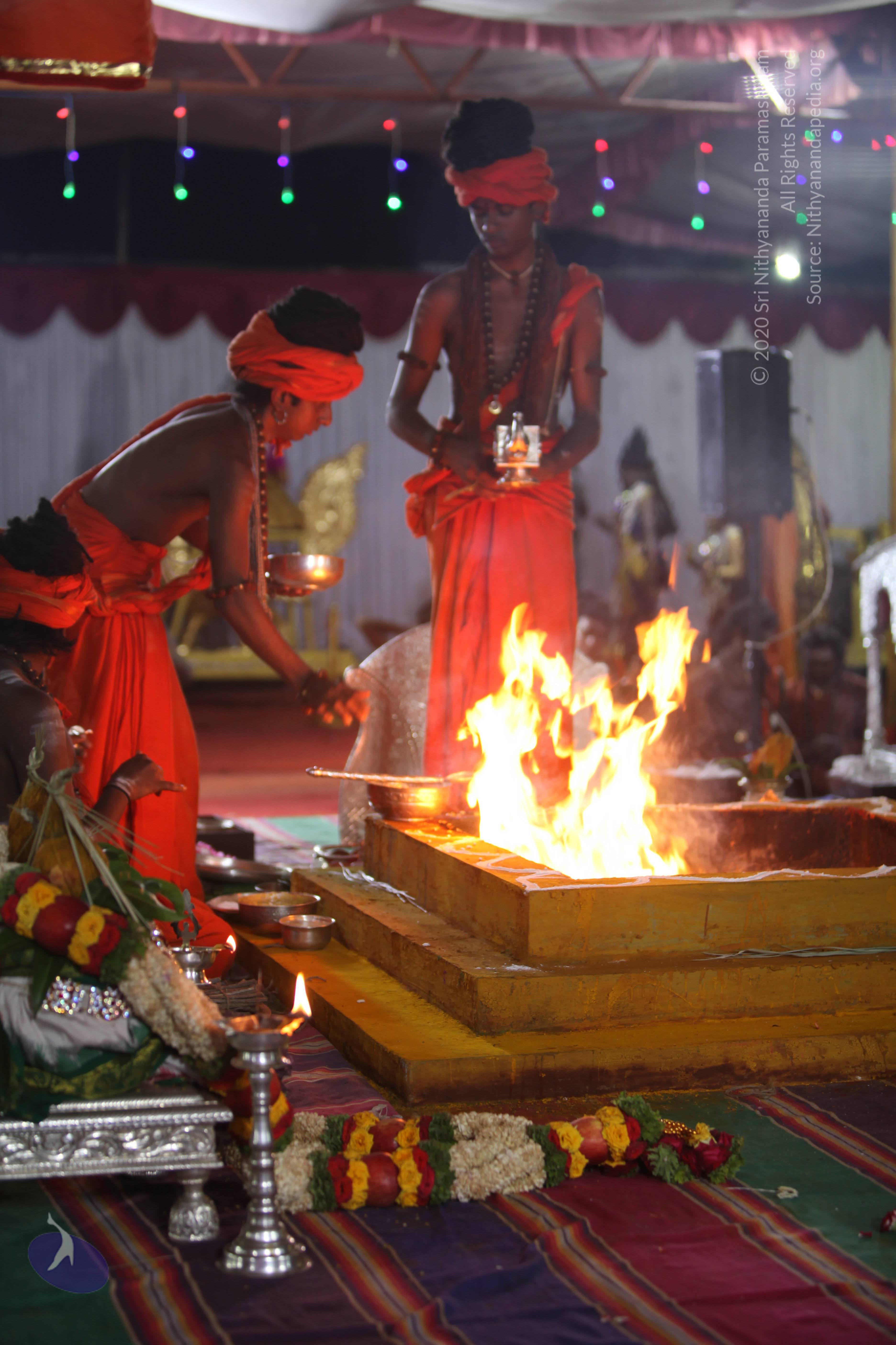 20170924_Photo_1011_IMG_5910_CMP_WM